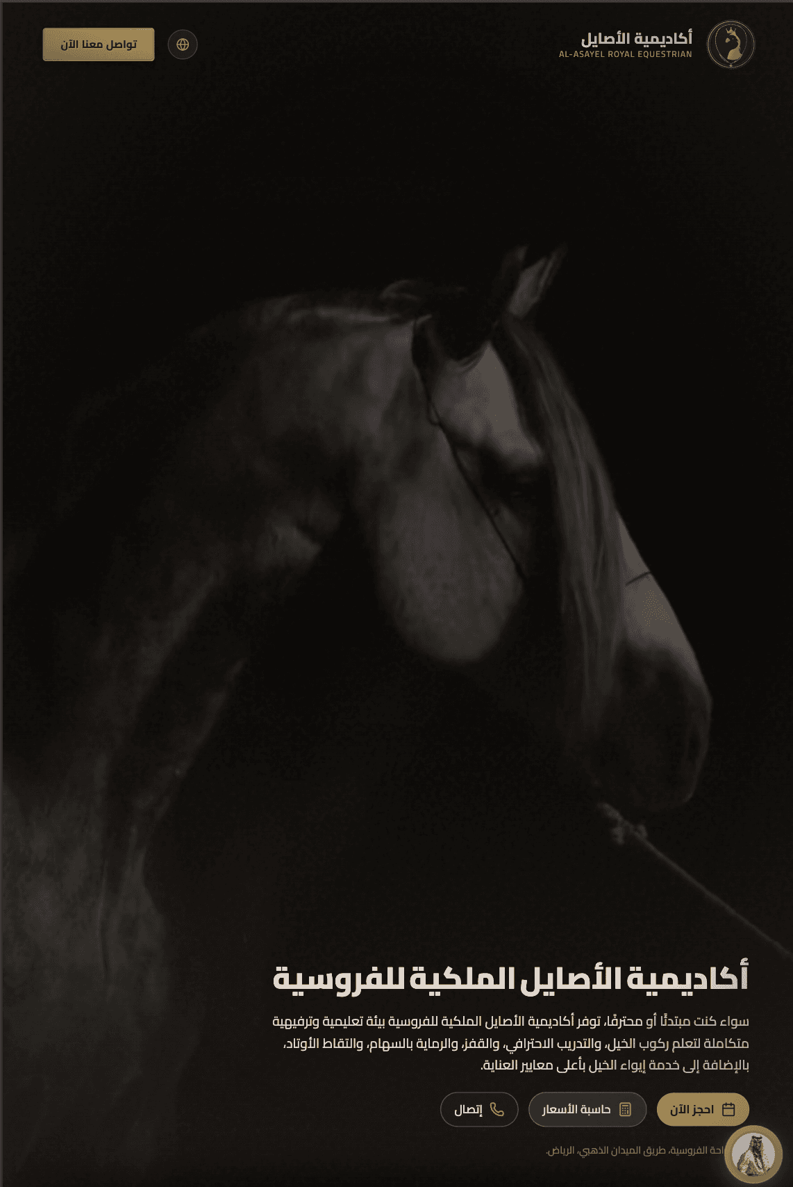 أكاديمية تدريب خيل 🐎